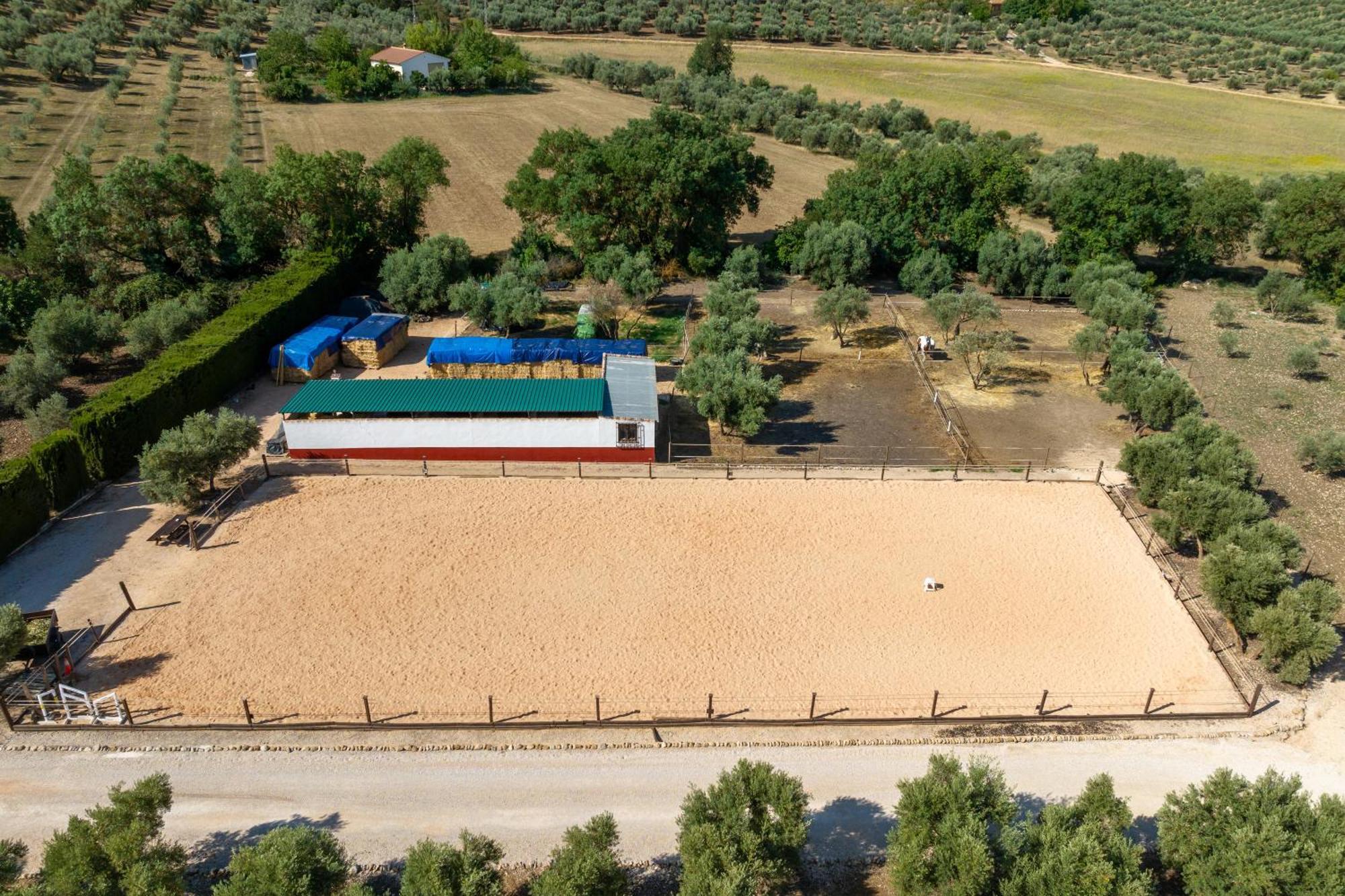 Pasa Fina, Luxury Holiday Retreat Villanueva del Trabuco Exteriér fotografie
